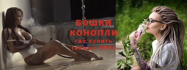 индика Балахна