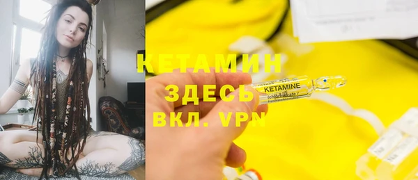индика Балахна