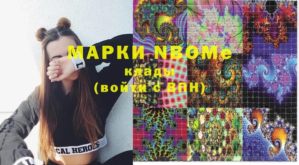 индика Балахна