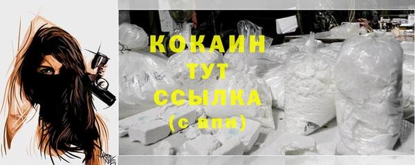 индика Балахна