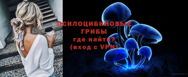 индика Балахна