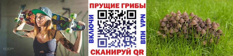Галлюциногенные грибы Magic Shrooms  Макарьев 